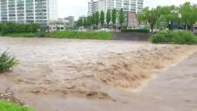 경상·호남 지역 또다시 물 폭탄...YTN 접수된 제보 영상