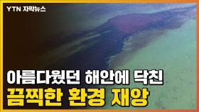 [자막뉴스] 아름다웠던 해안에 닥친 끔찍한 환경 재앙