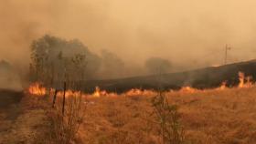 美 캘리포니아주 산불에 5명 사망·6만 명 이상 피난