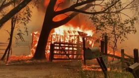 미 캘리포니아주 산불 5명 사망·주민 6만여 명 대피