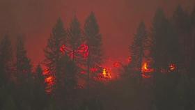 미 서부지역 산불 역대 최악...30명 이상 사망, 