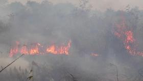 불타는 아마존 삼림 · 판타나우 습지...9월 들어 산불 다시 급증