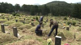 추석 연휴 문 닫는 묘지시설...이른 성묘 나선 추모객들