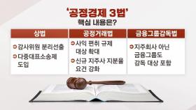 [뉴있저] 정치권 '공정경제 3법' 논란...국회 문턱 넘을까?