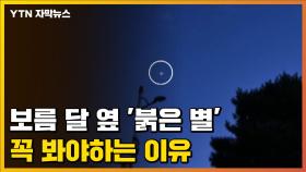 [자막뉴스] 밤하늘 둥근 달 옆 '붉은 별' 무조건 봐야 하는 이유