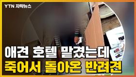 [자막뉴스] '믿고 맡겼는데'...이틀 만에 죽어서 돌아온 반려견