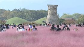 사회적 거리두기 완화 후 첫 주말...경주 찾는 나들이객 '북적'