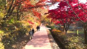 산 아래까지 울긋불긋...덕유산 등 남부지방 본격 단풍철