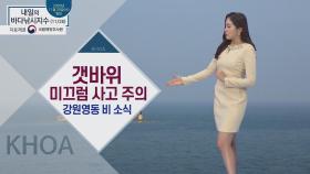 [내일의 바다낚시지수] 11월 26일 목요일, 강원 영동 비 소식 갯바위 미끄럼 사고 주의