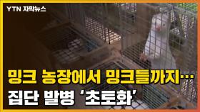 [자막뉴스] '초토화'된 밍크 농장...사람도 동물도 감염됐다