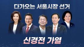 [뉴스큐] 안철수에 맹공?...손혜원의 양비 비판