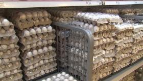 수입 달걀 첫 공매입찰...미국산 내일 시중에 풀린다