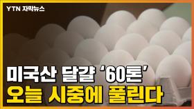 [자막뉴스] 오늘 풀리는 '미국산 달걀'...가격 급등세 꺾일까?