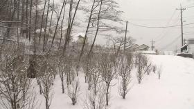 [날씨] 삼일절 전국 비·눈...영동 50cm↑폭설