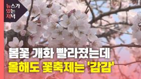 [뉴있저] 봄꽃 개화 빨라졌는데...올해도 꽃축제는 '감감'