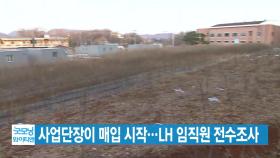 [YTN 실시간뉴스] 사업단장이 매입 시작...LH 임직원 전수조사