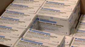 美 CDC, 얀센 백신 안전성 회의 결론 못 내려