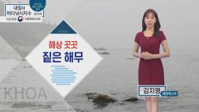 [내일의 바다낚시지수] 4월 22일 목요일, 해상 곳곳 짙은 해무, 동해 수온 회복