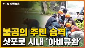 [자막뉴스] 삿포로 시내 대형 불곰 난동... 주민 습격에 '아비규환'