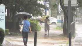 [날씨] 오후 내륙 곳곳 소나기...주말 흐리고 비