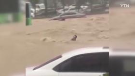 中 정저우시 폭우로 25명 사망...단 하루 만에 1년치 '물 폭탄'