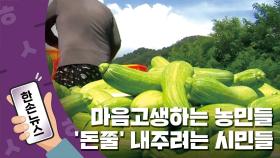 [15초뉴스] 애호박 산지 폐기 소식에...농민들 '돈쭐' 내주려는 시민들