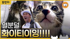 [동반자] 고양이 계의 김제덕! '도미'의 화이팅