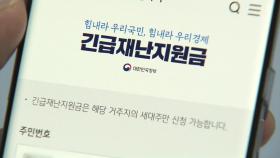 국민지원금, 편의점 쓸 수 있고 온라인몰·백화점 안 된다