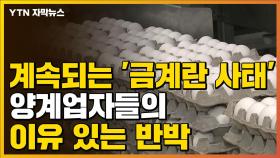 [자막뉴스] 계속되는 '금계란 사태'...양계업자들의 이유 있는 반박