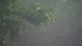 [날씨] 태풍 남해 상 지나 대한해협 통과...점차 남해안 비바람