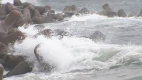 [날씨] 남해안 강한 비바람...태풍 밤사이 일본 상륙