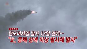 [YTN 실시간뉴스] 탄도미사일 발사 13일 만에...