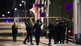 노르웨이 화살 공격은 '테러 행위'...사냥하듯 활 쏴 5명 사망