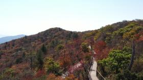 단풍 절정기에 한파...산 정상 초겨울 날씨