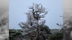 [영상] 제주 한라산 '상고대' 관측...지난해보다 일주일 빨라