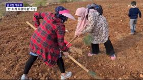 터키, 한국의 묘목 기부 행렬 '우정의 숲' 이루다