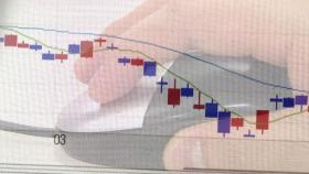 개미들, 삼성전자·하이닉스 팔고 中 전기차 ETF 샀다