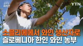 15년 차 소믈리에에서 초보 와인 생산자로 변신…와인 농부 박순석