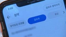 '알짜 사업 물적분할'로 주가 하락...소액주주 반발