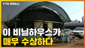 [자막뉴스] 밤마다 늘어선 차량...수상한 비닐하우스의 정체