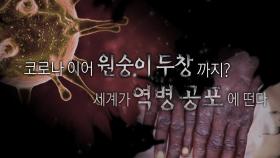 [영상] 원숭이 두창에 뚫린 유럽...예외적 확산에 전 세계 공포