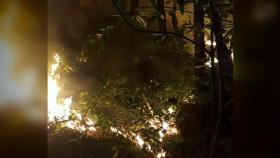 경북 포항 야산에서 불...산림 0.02ha 태워