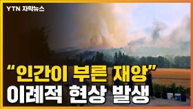 [자막뉴스] 6월에 '이례적 현상'...기후 재앙 시작되나