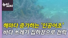 [뉴있저] 해마다 증가하는 '인공어초'...관리 예산은 그대로?