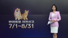 [더뉴스] 반려동물 8월까지 자진신고...보유세 도입은 '신중' 모드