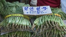 장마에 폭염까지 겹쳐 고공행진 이어가는 채솟값