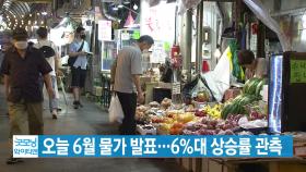 [YTN 실시간뉴스] 오늘 6월 물가 발표...6%대 상승률 관측