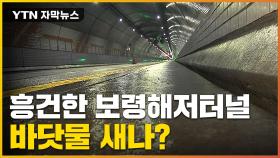 [자막뉴스] 보령해저터널 상황 심각해졌다...도로 전체가 '흥건'