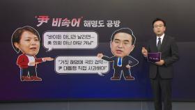 [더정치] '尹 외교·비속어' 공방 확산...
