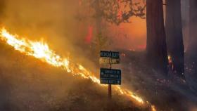 美 캘리포니아, 산불에 폭염·가뭄까지...물·전력 '비상'